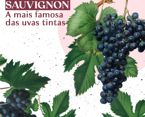 Quer aprender mais sobre a uva Cabernet Sauvignon?