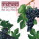 Quer aprender mais sobre a uva Cabernet Sauvignon?