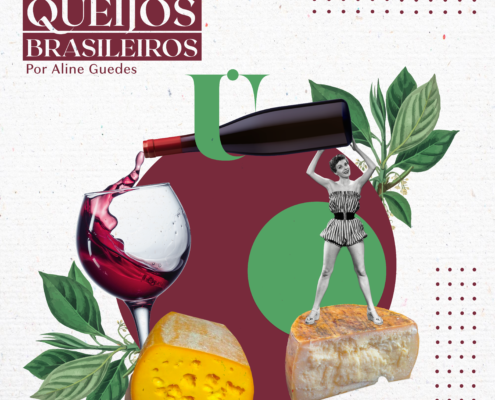 Harmonização vinhos e queijos brasileiros