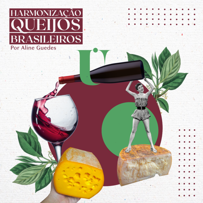 Harmonização vinhos e queijos brasileiros