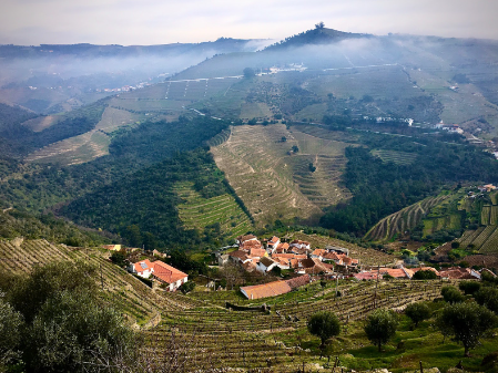 Vale do Douro Lana Ruff Vinhos Única