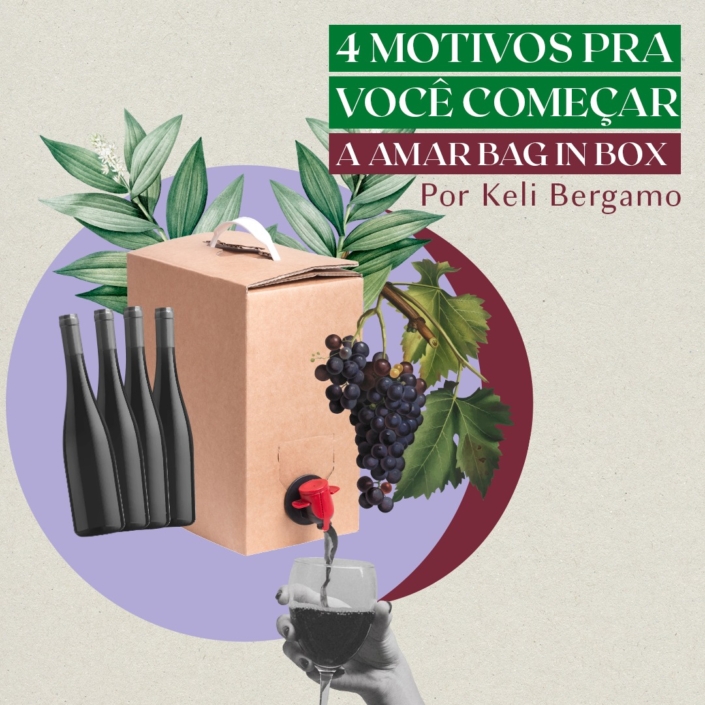 4 Motivos para comprar bag in box por Keli Bergamo