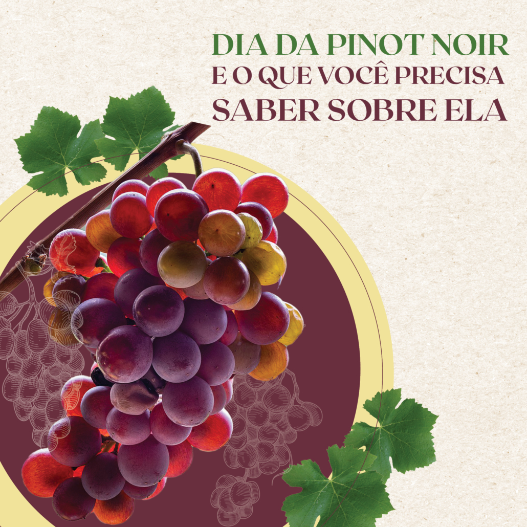 O que saber sobre a uva Pinot Noir