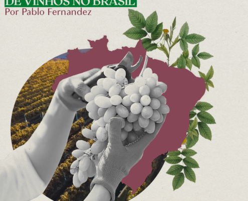 Panorama da produção de vinhos no Brasil