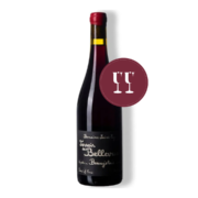 Vinho Tinto Domaine Saint-Cyr Beaujolais 2020