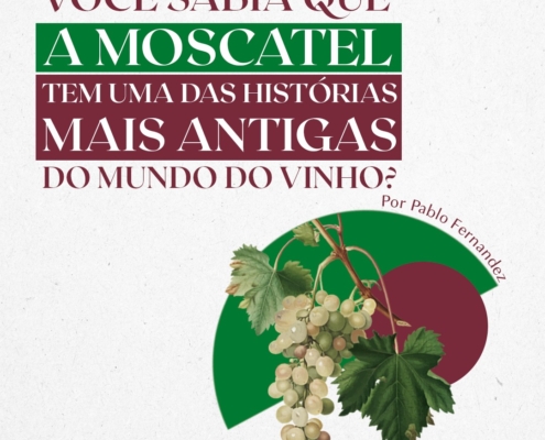 Em defesa da uva Moscatel