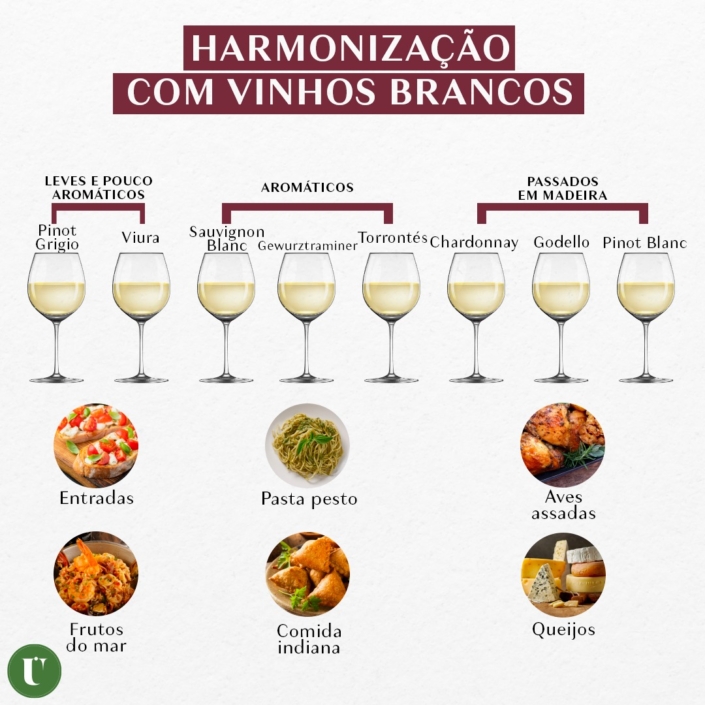 Chart Harmonização com vinho branco