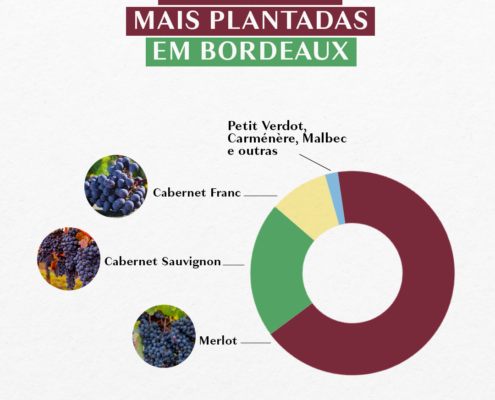 Uvas tintas mais plantadas em Bordeaux