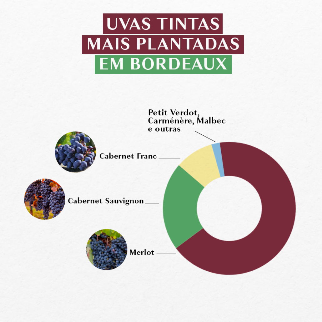 Chart: as uvas tintas mais plantadas em Bordeaux