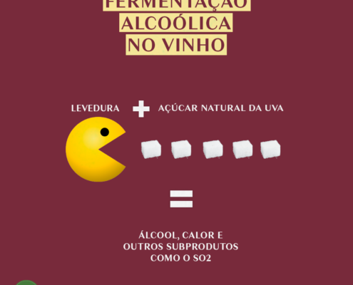 Fermentação alcoólica do vinho