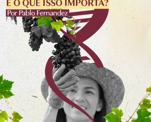 A (nova) origem e das uvas viníferas e por que isso importa, por Pablo Fernandez.