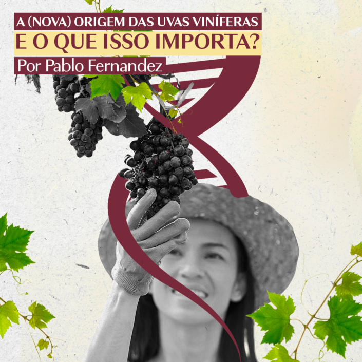 A (nova) origem e das uvas viníferas e por que isso importa, por Pablo Fernandez.