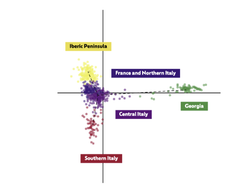 As descobertas dos perfis moleculares de DNA de variedades de uva europeias e caucasianas usando análise multivariada (PCA) mostraram que as variedades georgianas são muito diferentes das europeias, (De Lorenzis et al. 2019).