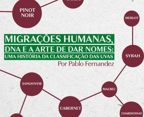 Migrações humanas, DNA e a arte de dar nomes: uma história da classificação das uvas