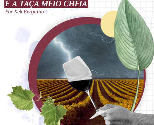 mudanças climáticas no mundo do vinho