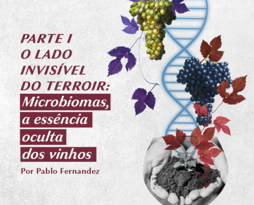 O Lado Invisível do Terroir, parte I: Microbiomas, a essência oculta dos vinhos