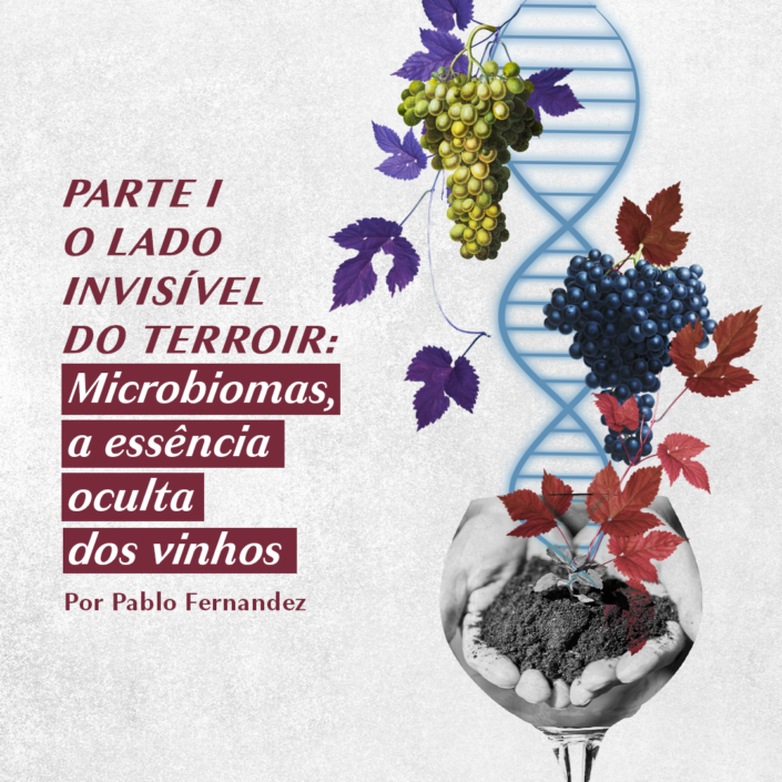 O Lado Invisível do Terroir, parte I: Microbiomas, a essência oculta dos vinhos